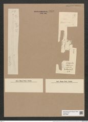 Thalassiothrix longissima Cleve et Grun. (de-Toni-Nr.: Genus 67, Species 2670) Zeichnungen Sammlung Grunow Nr. 5451 (NHMW-BOT-W0373868)